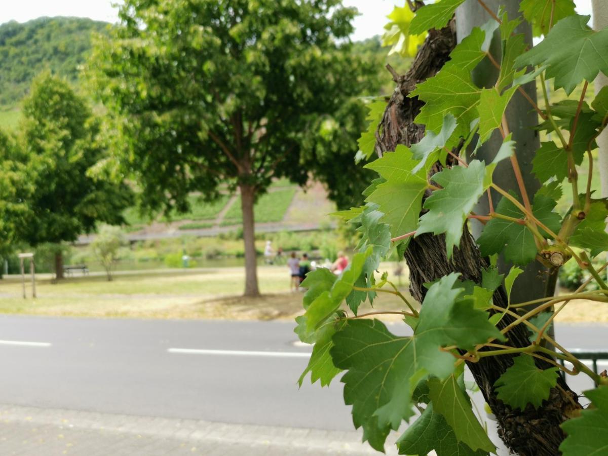 Moselblick