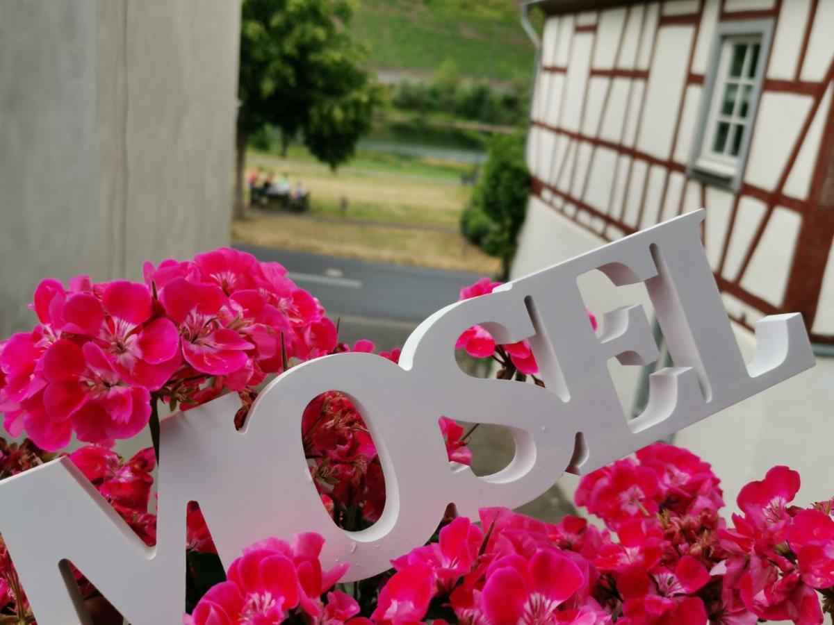 Appartement Moselblick