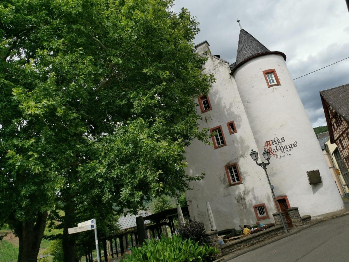 Apartment Moselblick Bruttig-Fankel